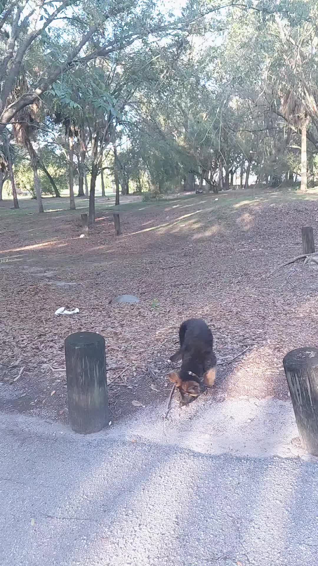 @Kendrick Kennels