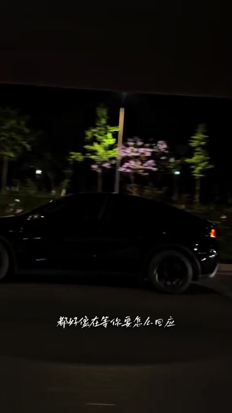 @葉嘉妮
