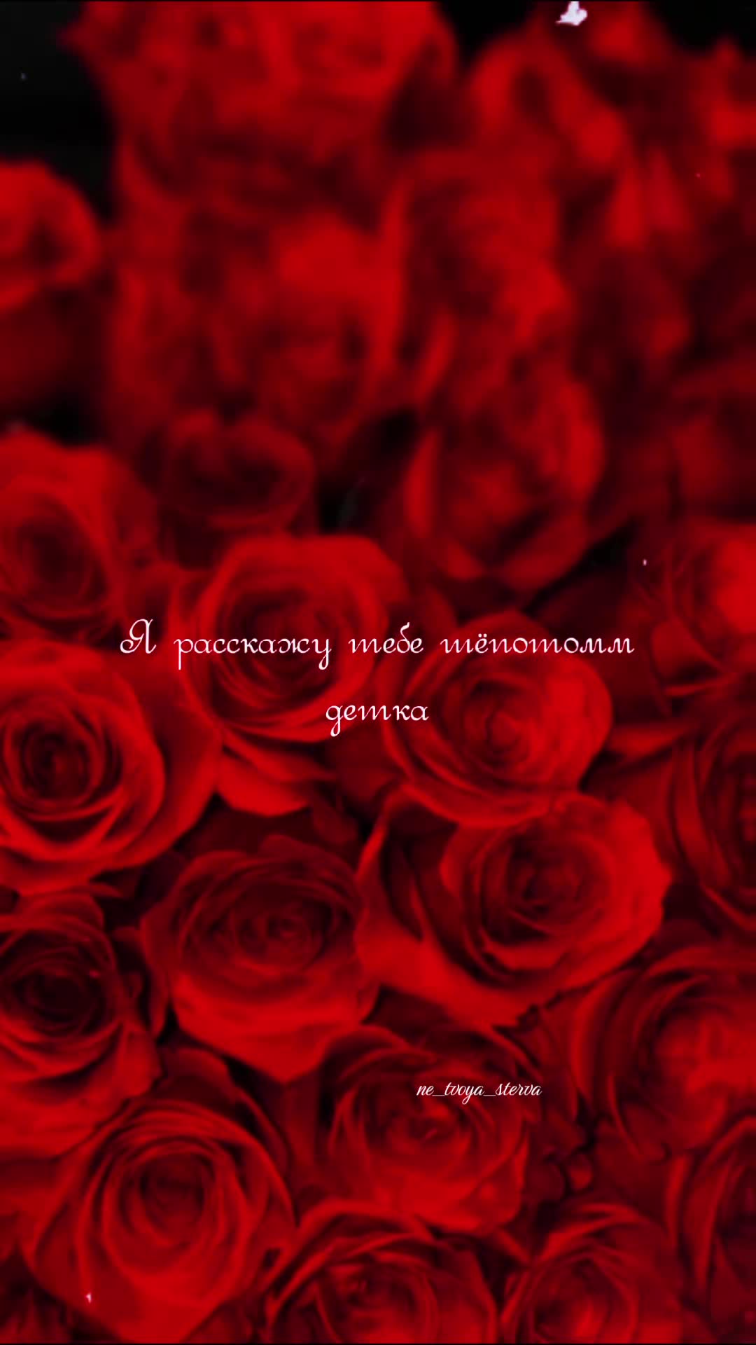 @𝓷𝓮_𝓽𝓿𝓸𝔂𝓪_𝓼𝓽𝓮𝓻𝓿𝓪