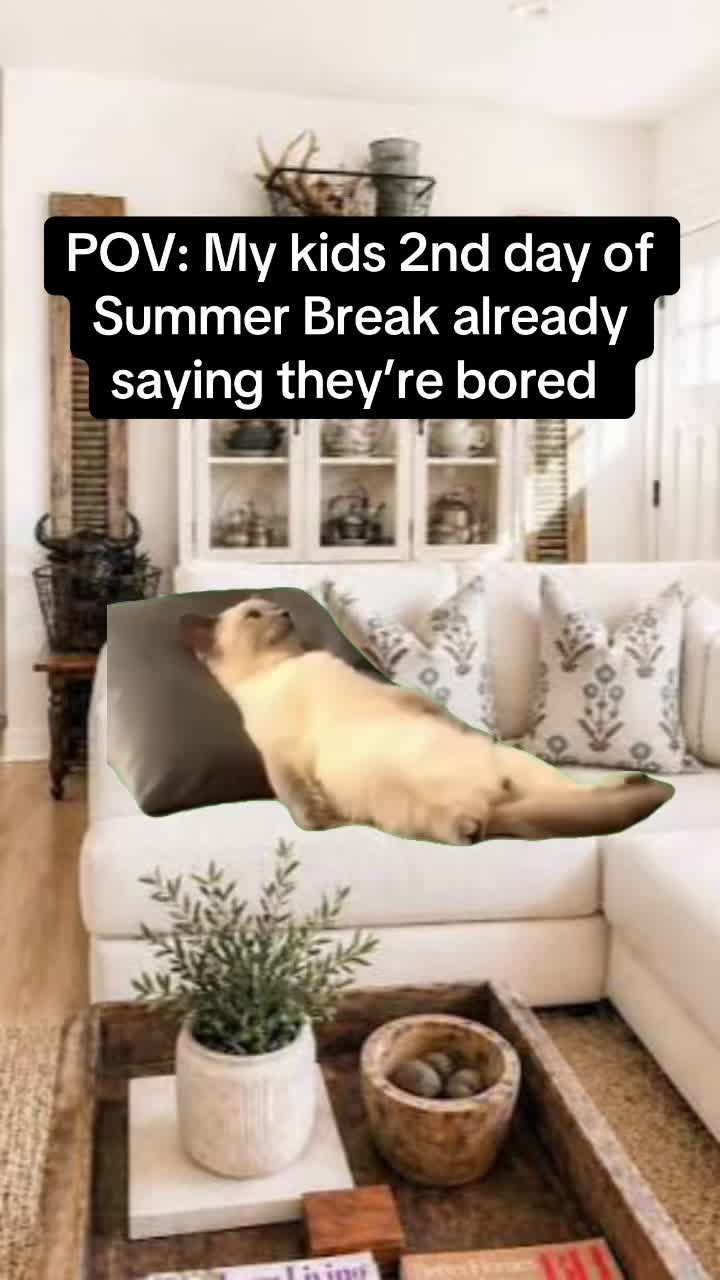 @sarahschark