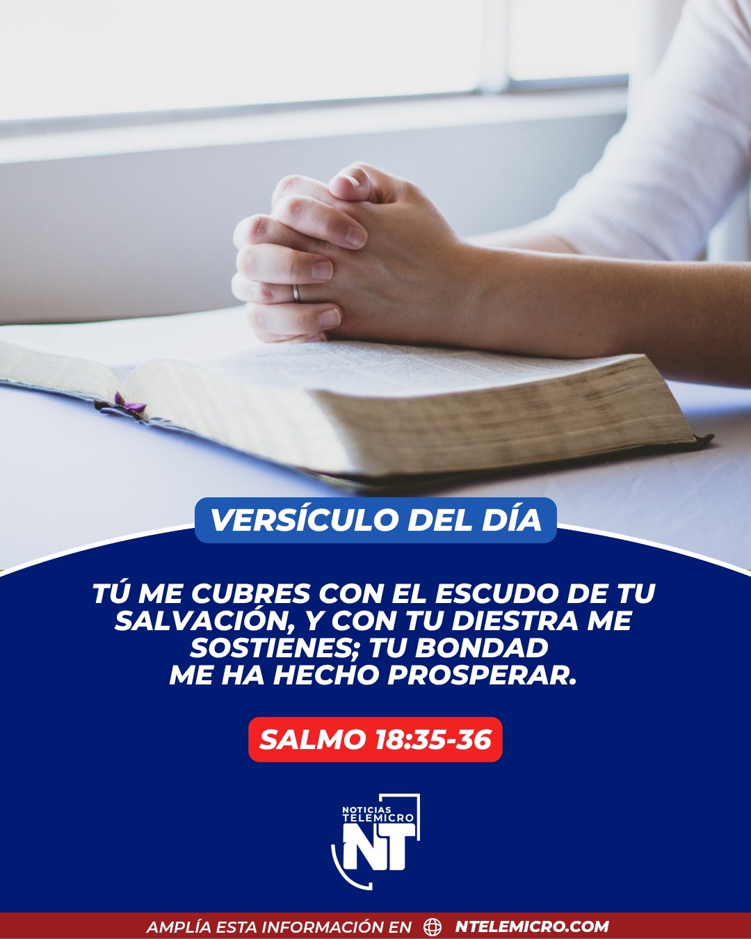 @Miguel Medina oficial
