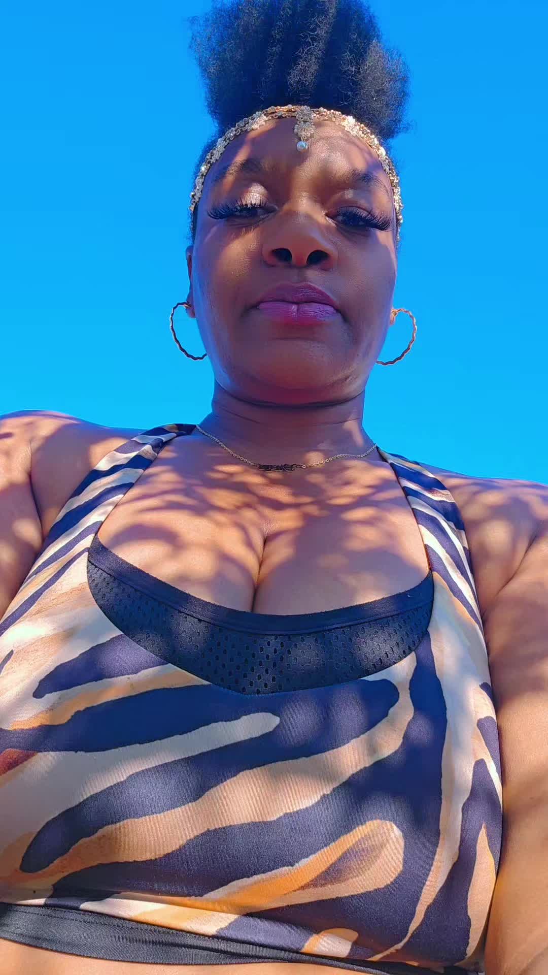 @ShibaBaby
