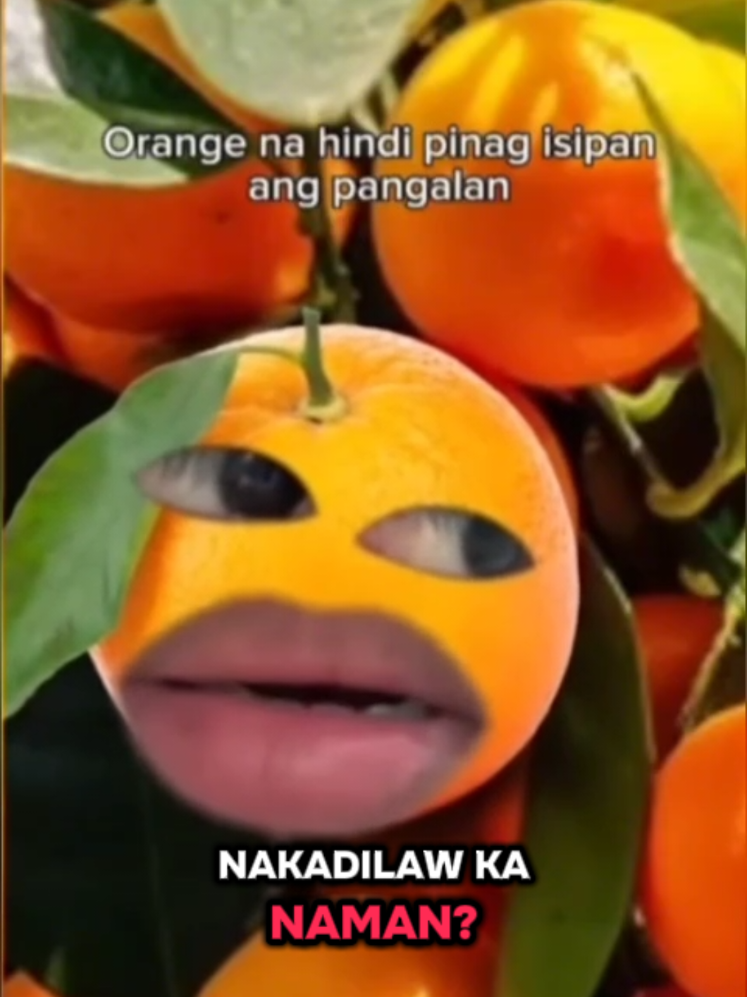 @I.J. Saavedra
