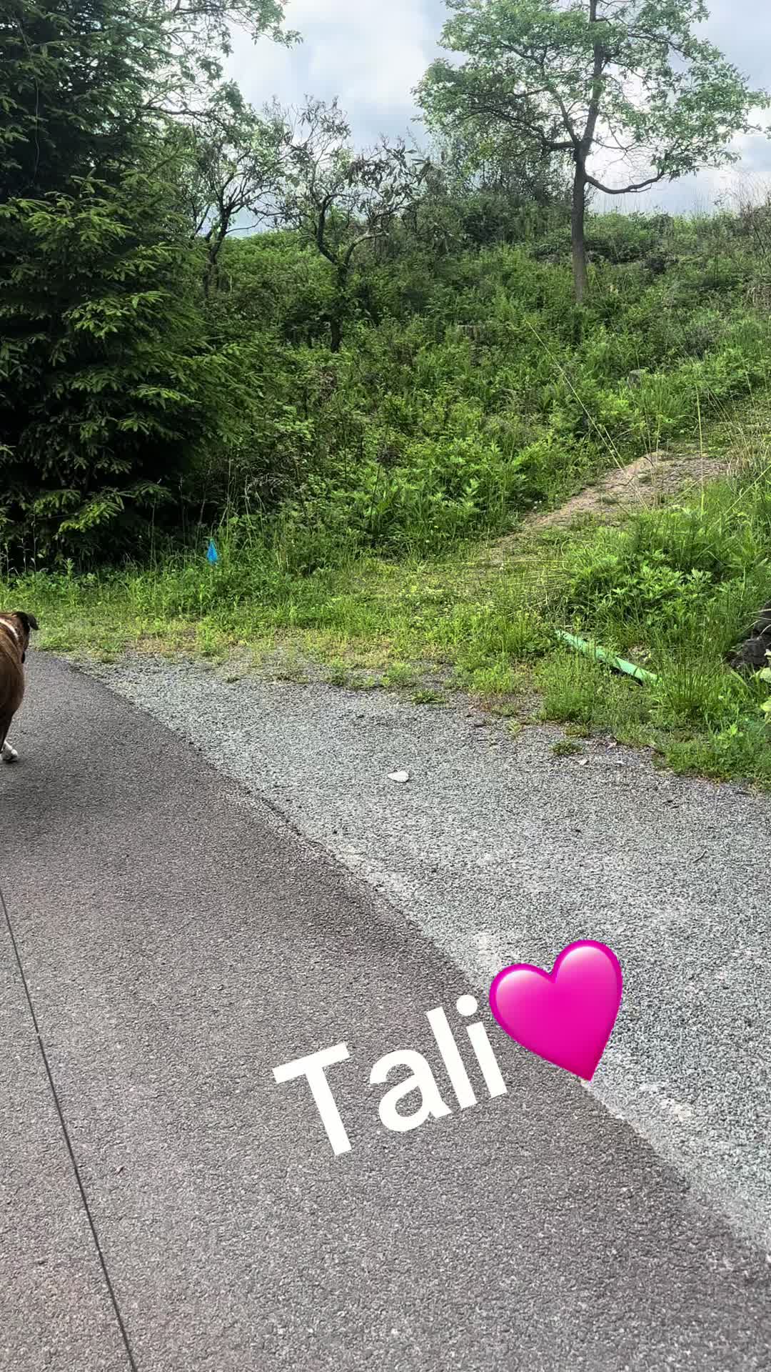 @Happytails Pet Sitting