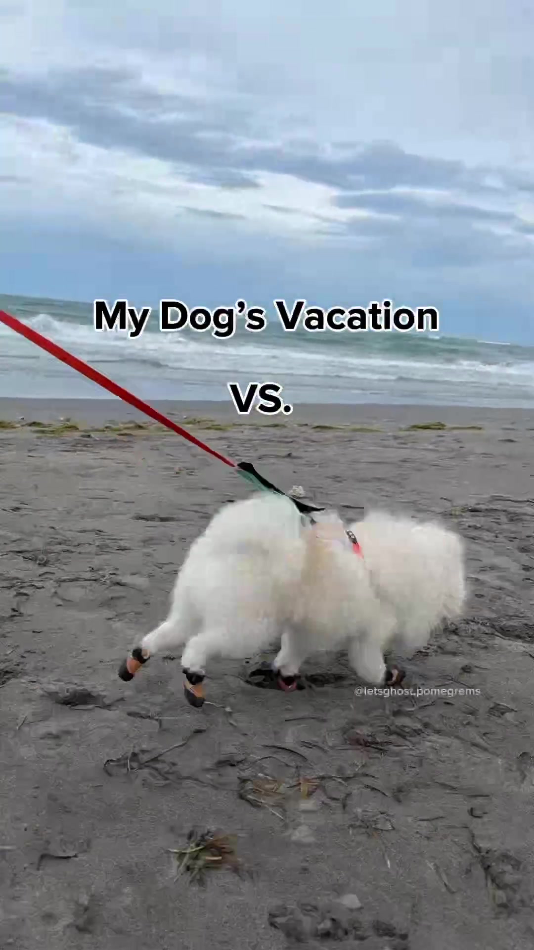 @G H O S T TheRunnerPom