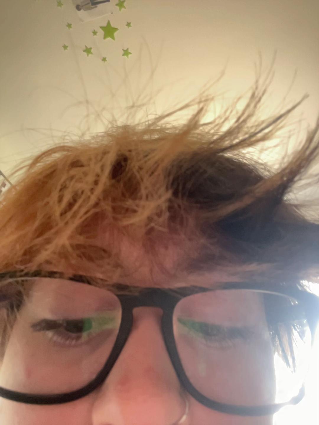 @finnleigh🦨