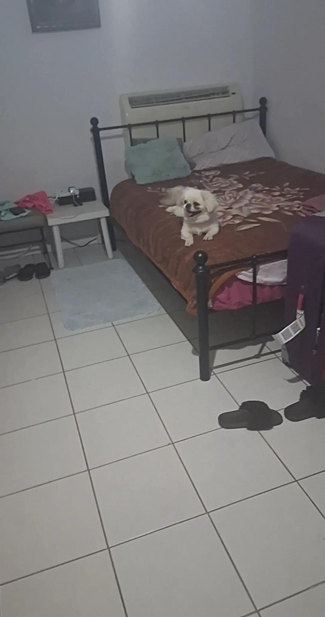 @Ștefania.Valentina6
