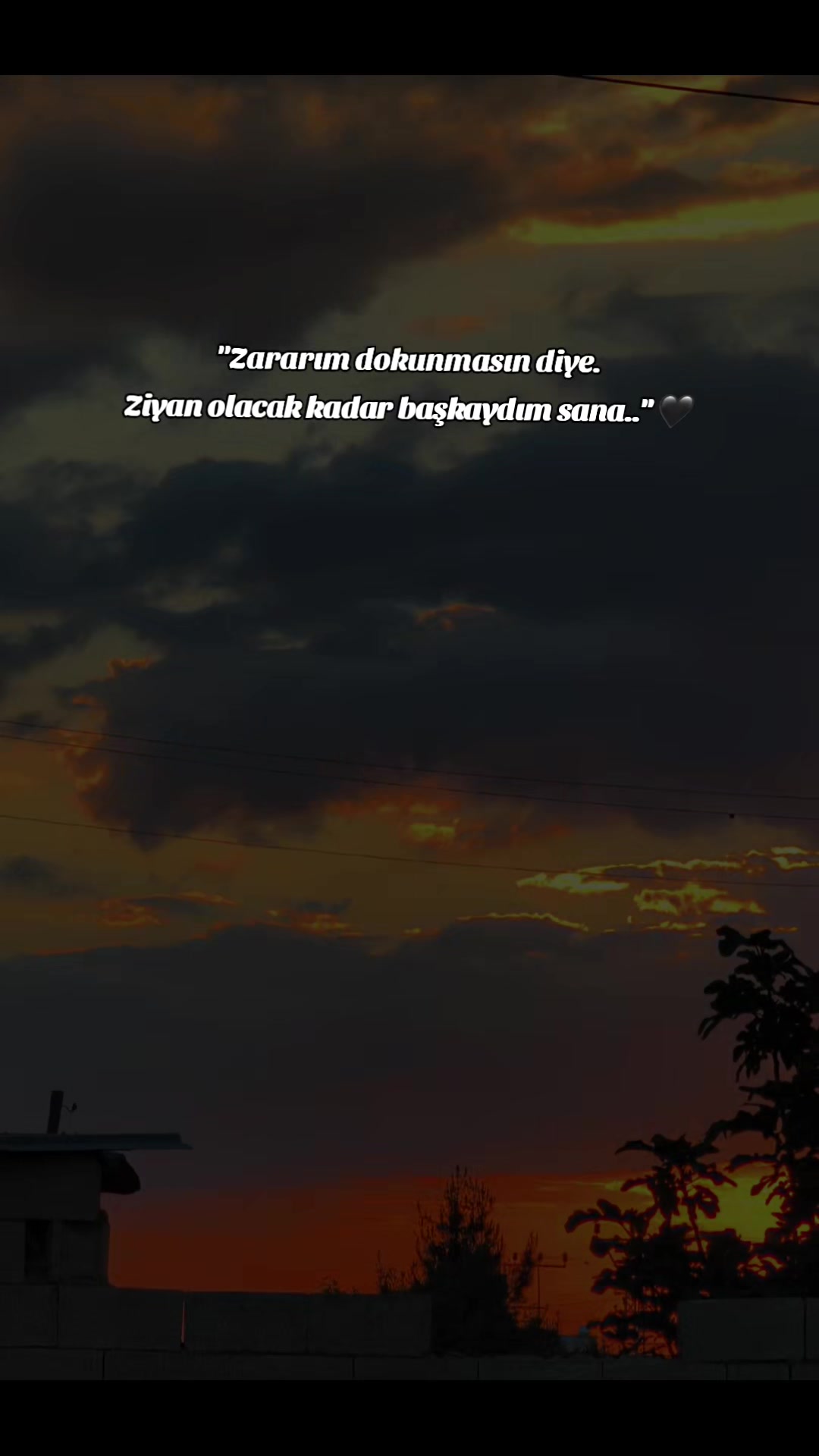 @𝐒 𝐓 𝐄 𝐑 𝐊 ✷