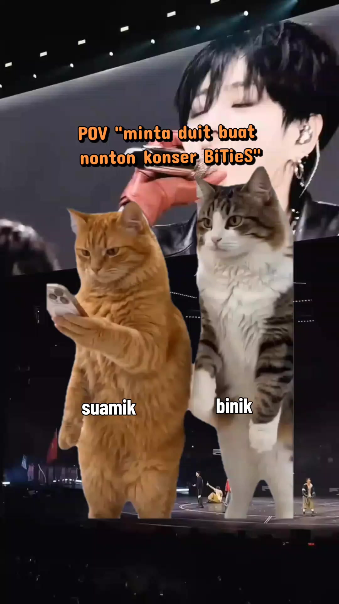 @Rinaaa