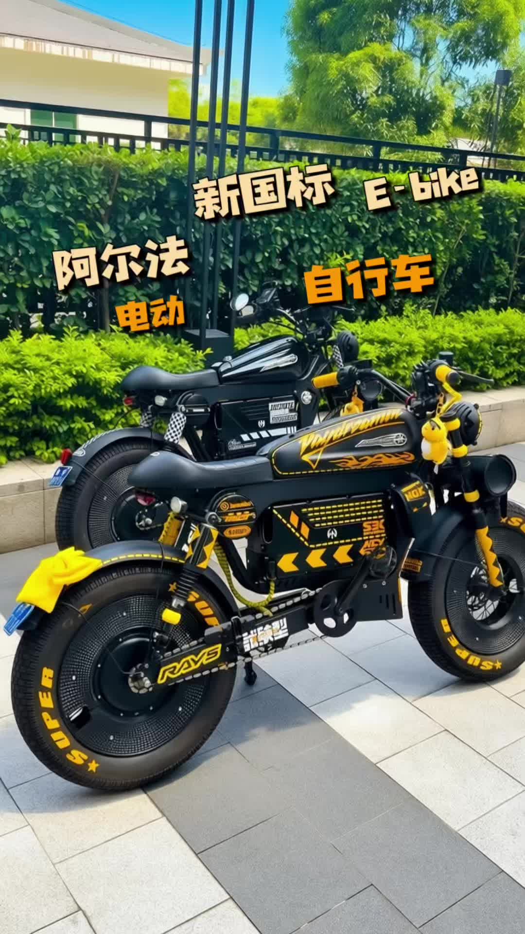 @Alphaz-Ebike
