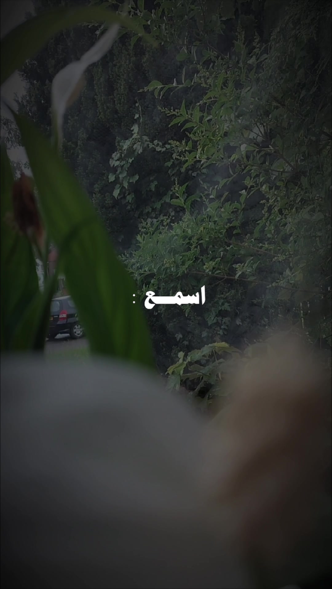 @قرآن كريم