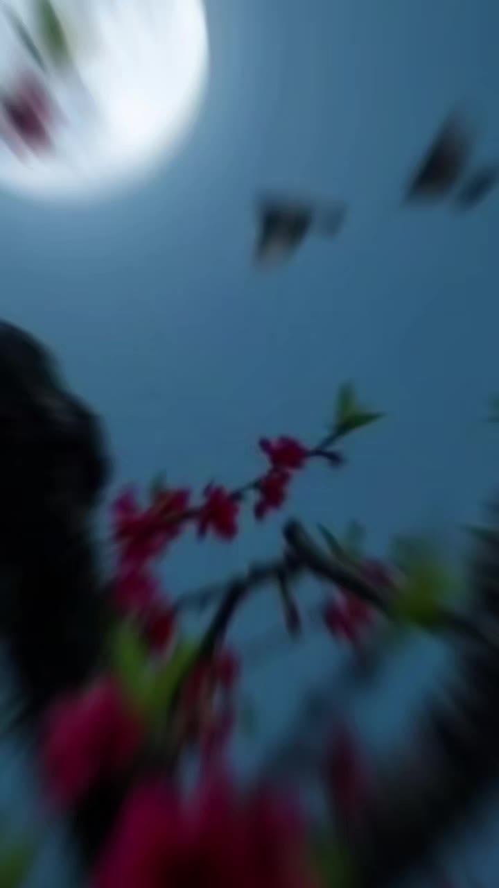 @dhakalbhujel789