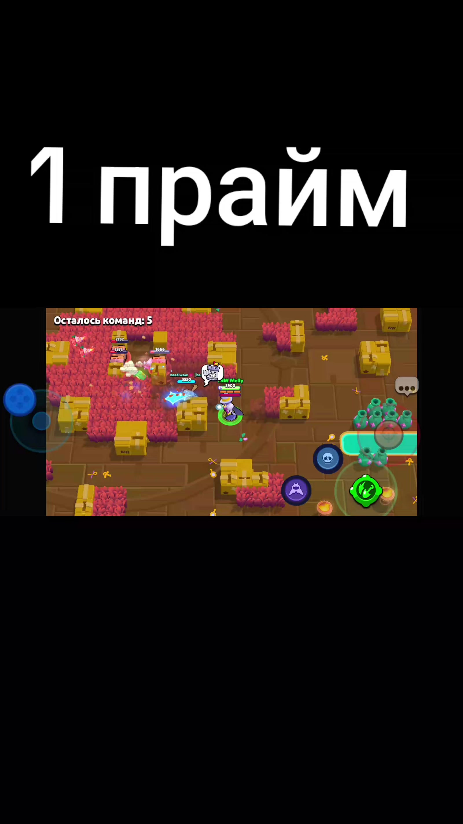 @Akella №2