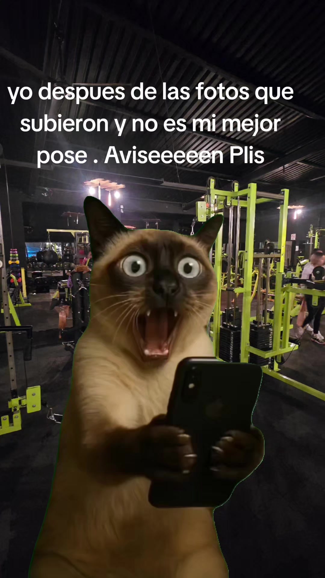 @BatorGym#1