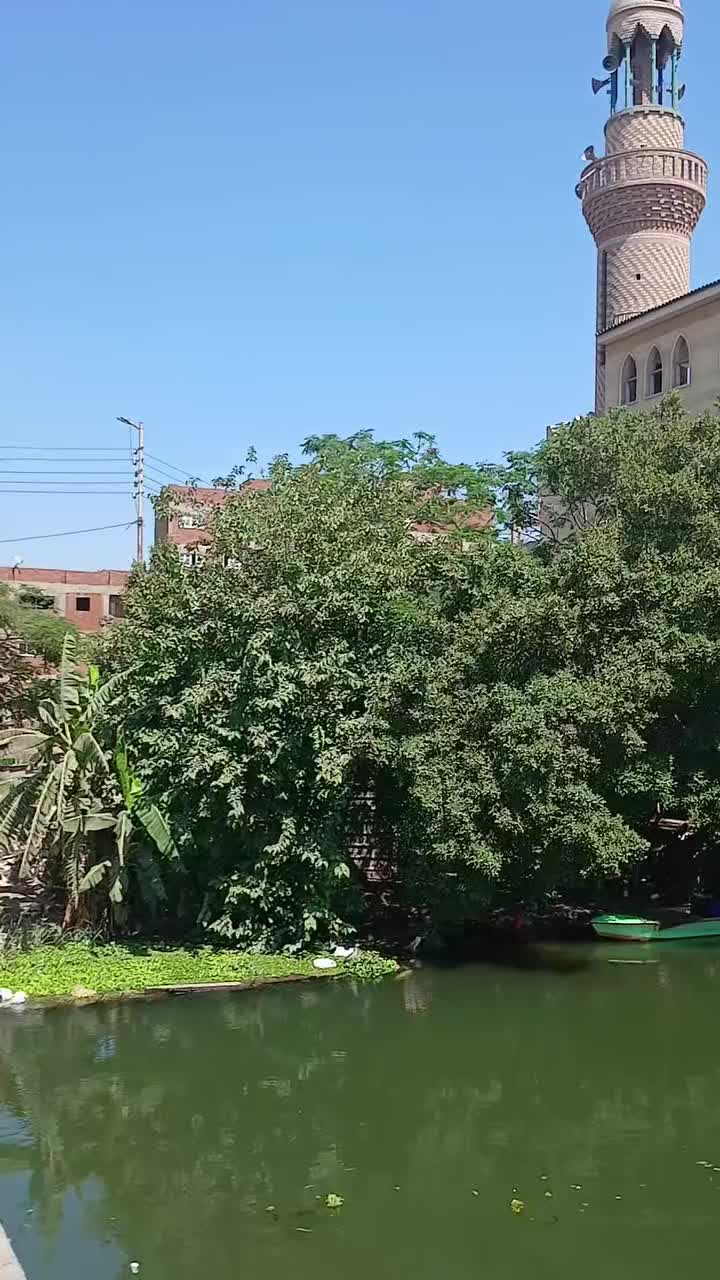 @القارئ الشيخ محمد مصطفى شلاطة