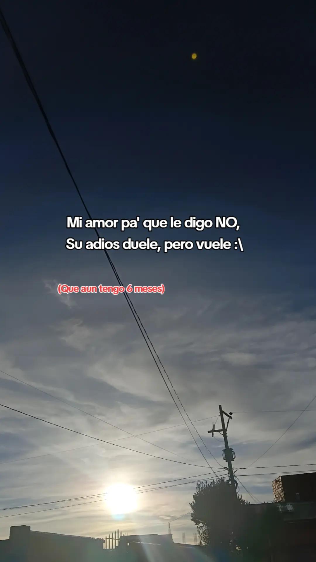 @pecas✨
