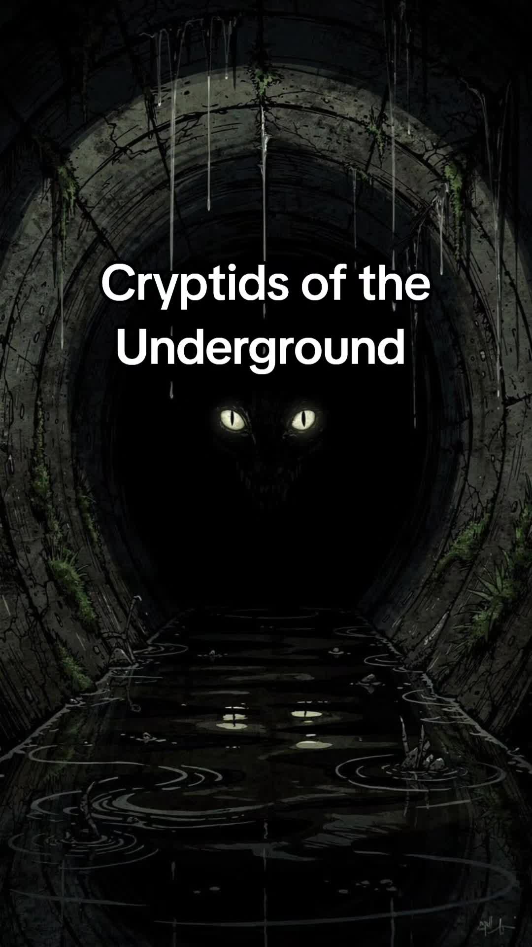 @FollowTheCrowsTV