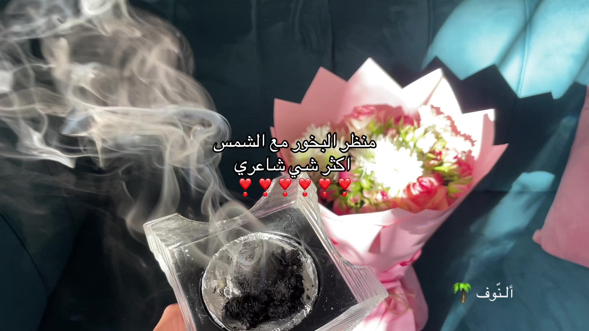 @ألـنّوف 🌴