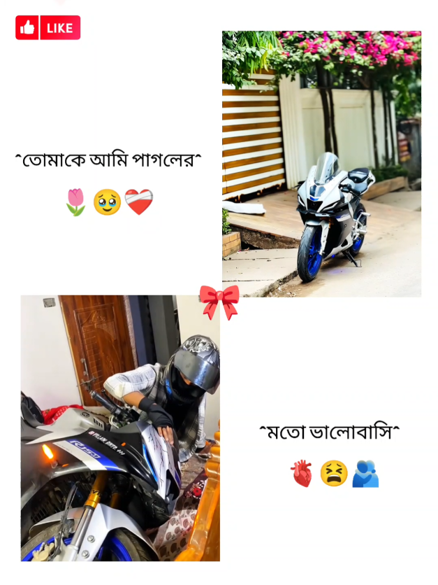 @✿BIKE LOVER✿