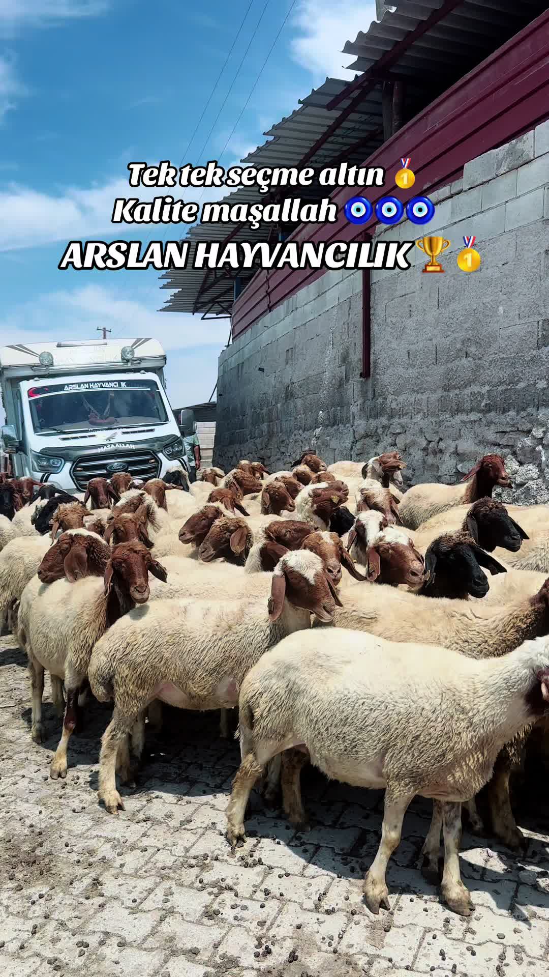 @cuma_arslan027