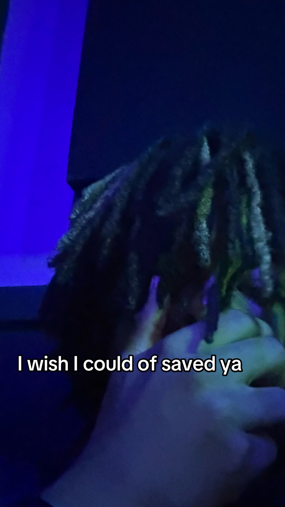 @Syn