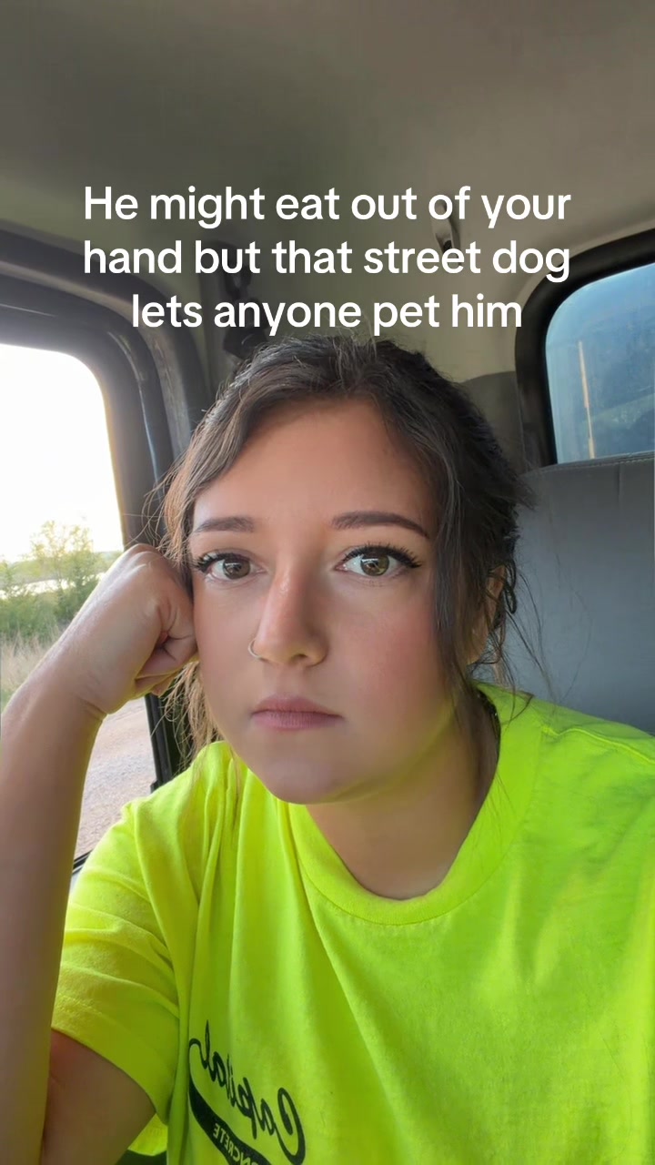 @thatmothertrucker
