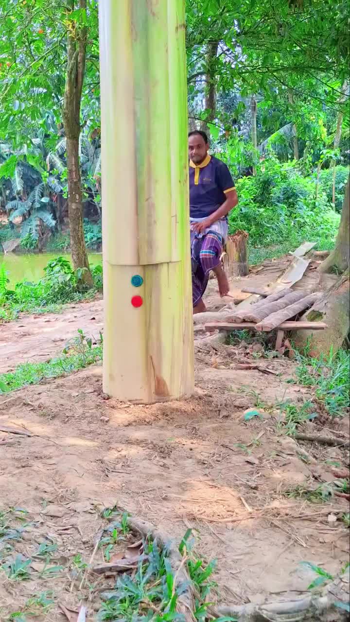 @tetroi02