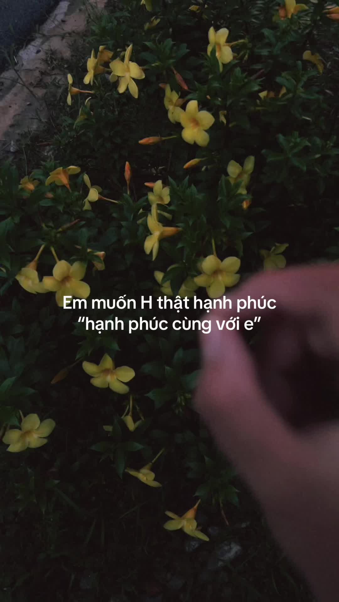 @phe H💗