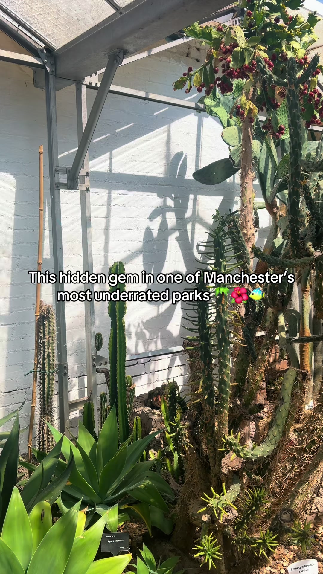 @Manchester City Council