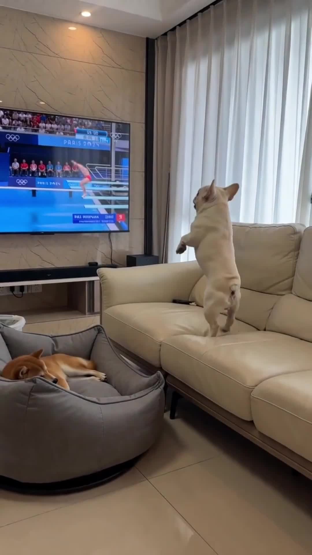 @cuteanimals472