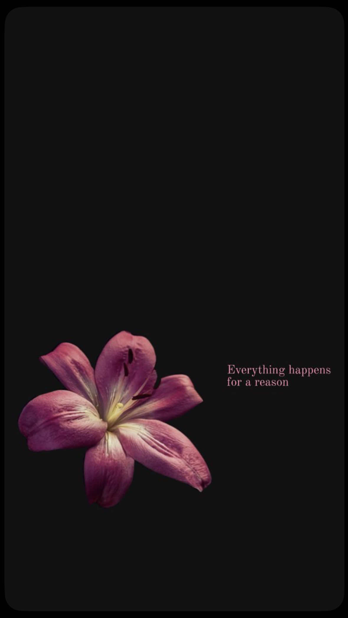 @e🍃