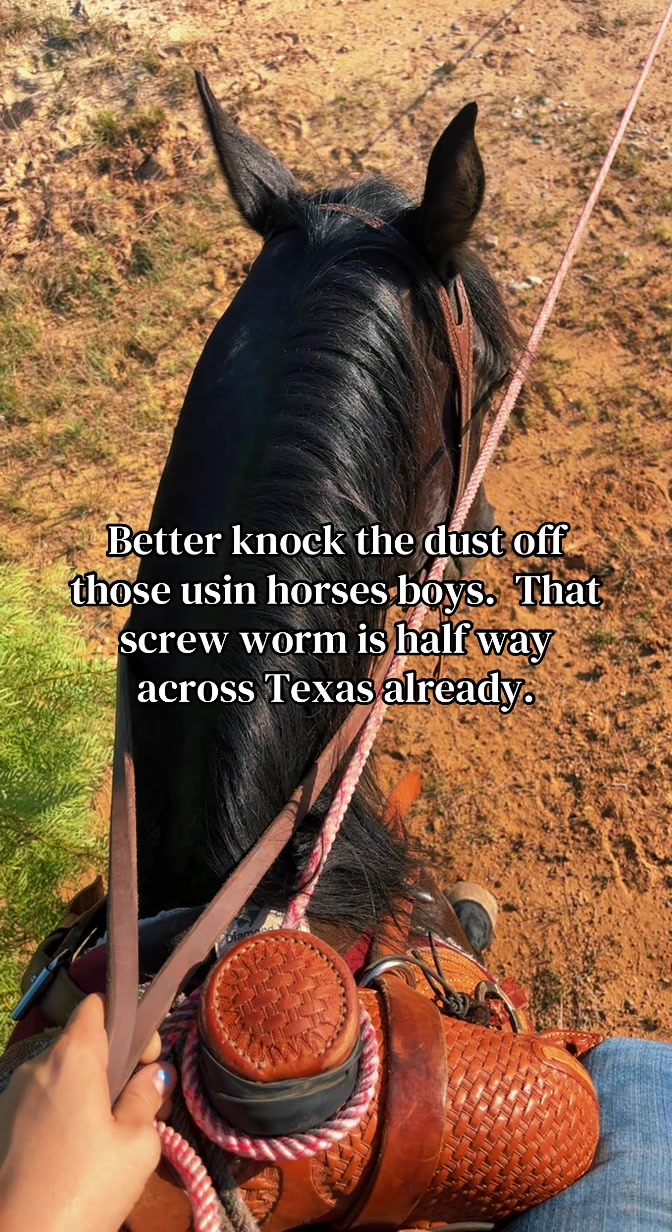 @Cheyenne Fleming