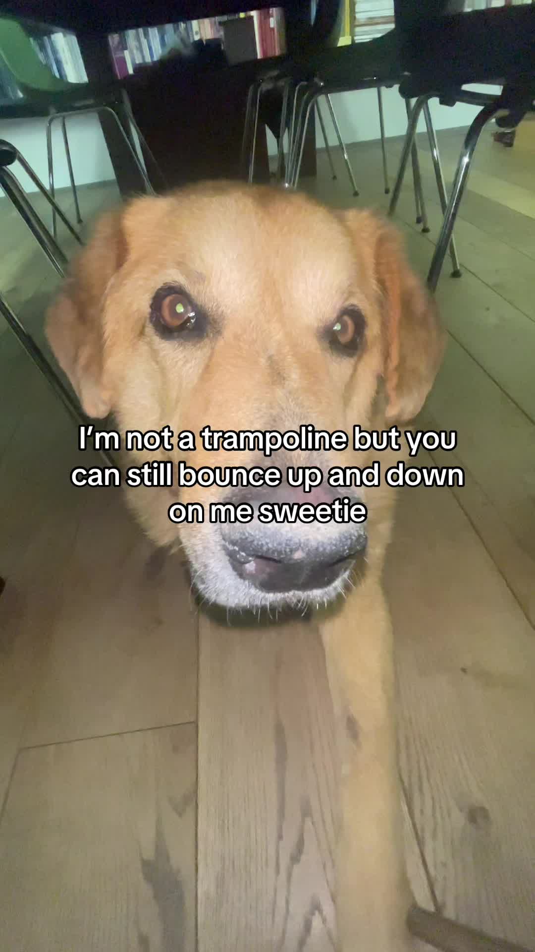 @Neo