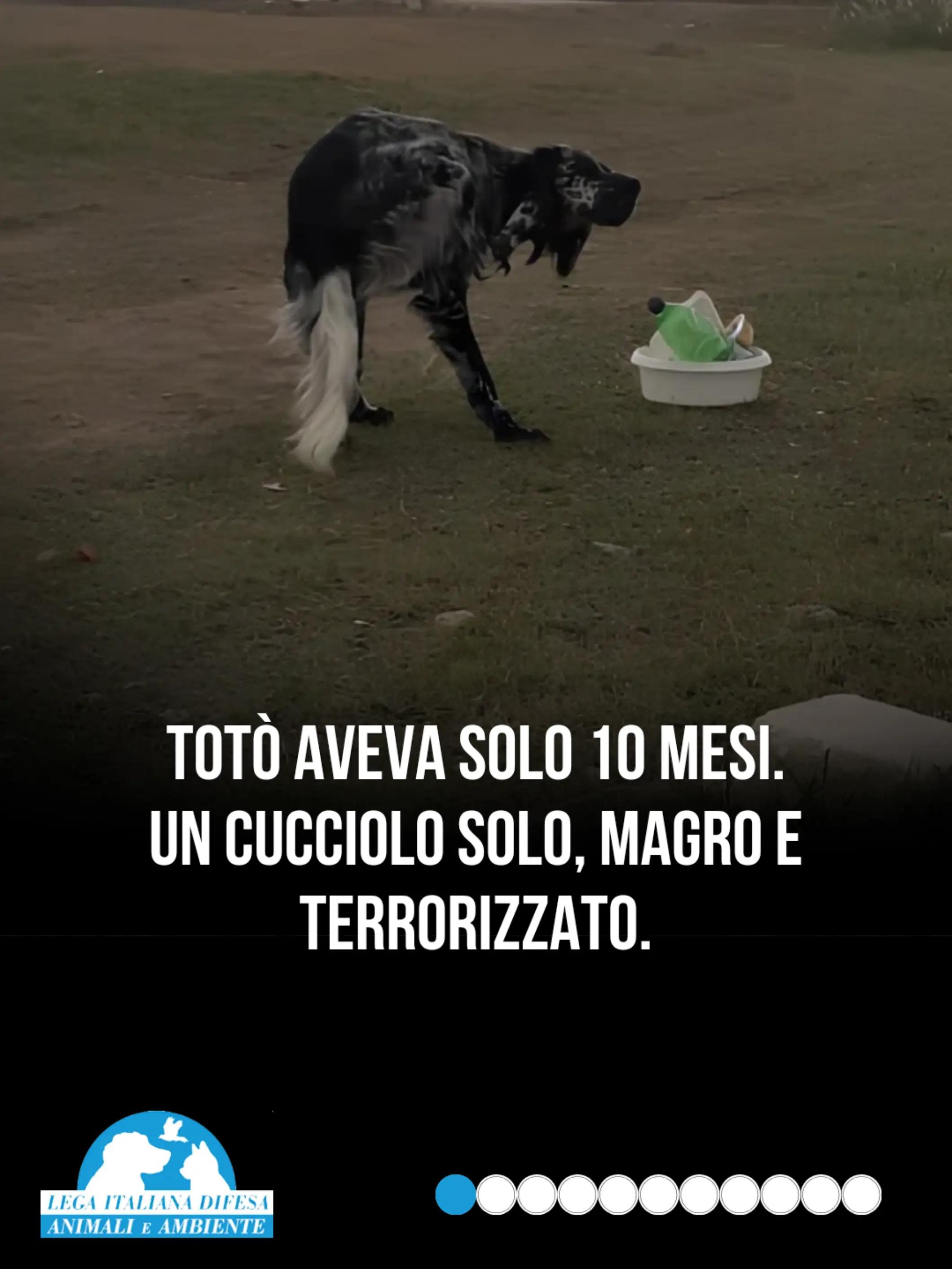 @Michela Vittoria Brambilla