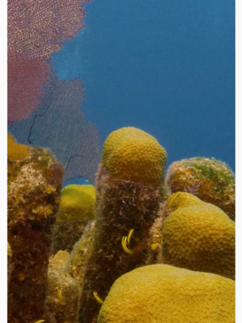 @Travel Belize