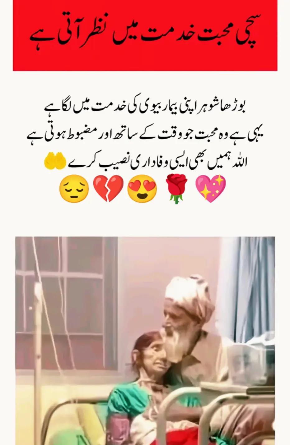 @Hassan Hussain💞