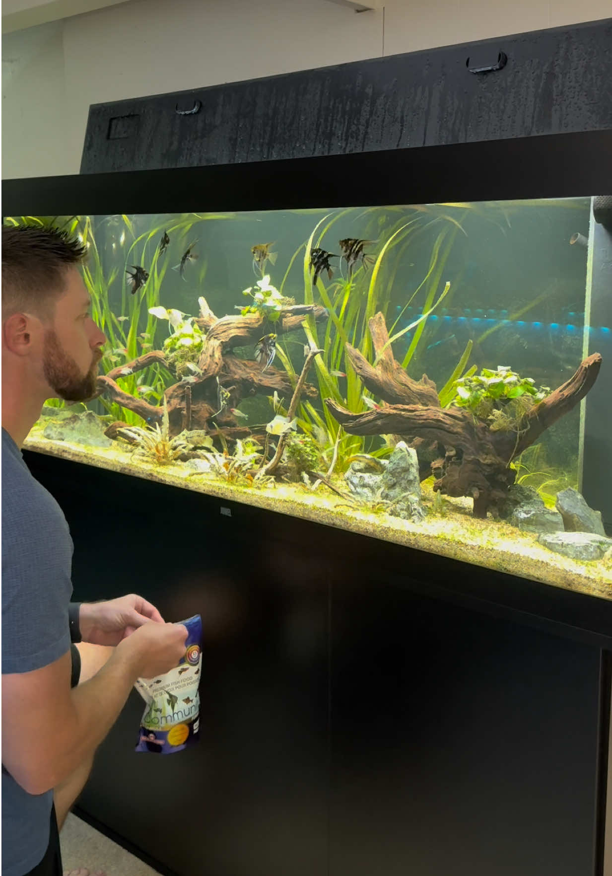 @Cichlid Bros