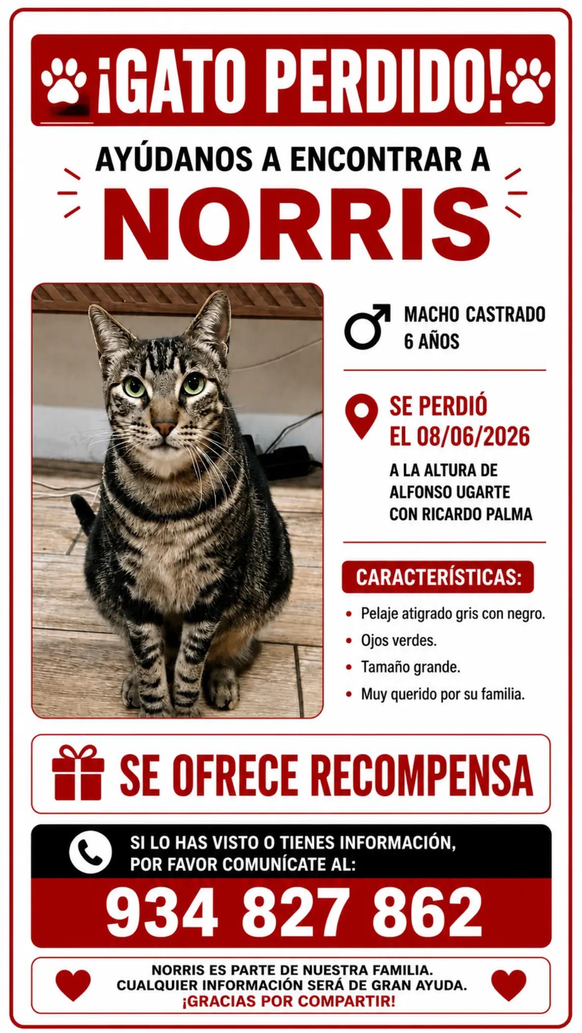 @Perritos Voladores