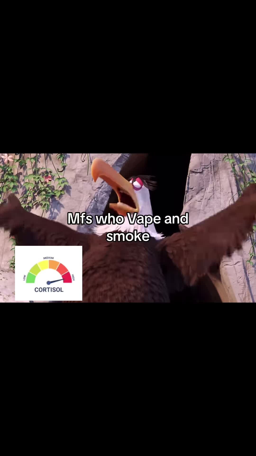 @MK
