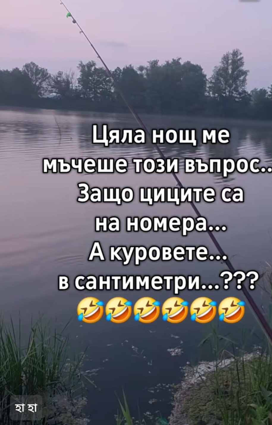@D.R.Livain