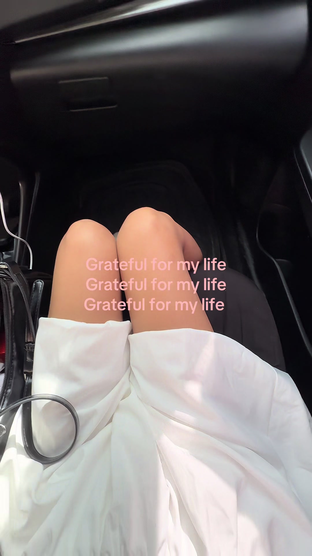 @mitchh 🌷☁️