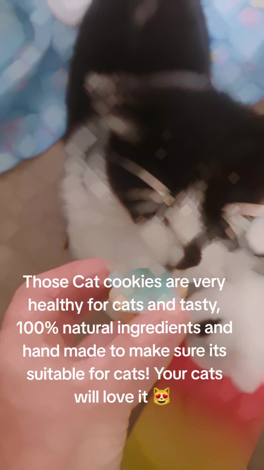 @Wellness for Pet