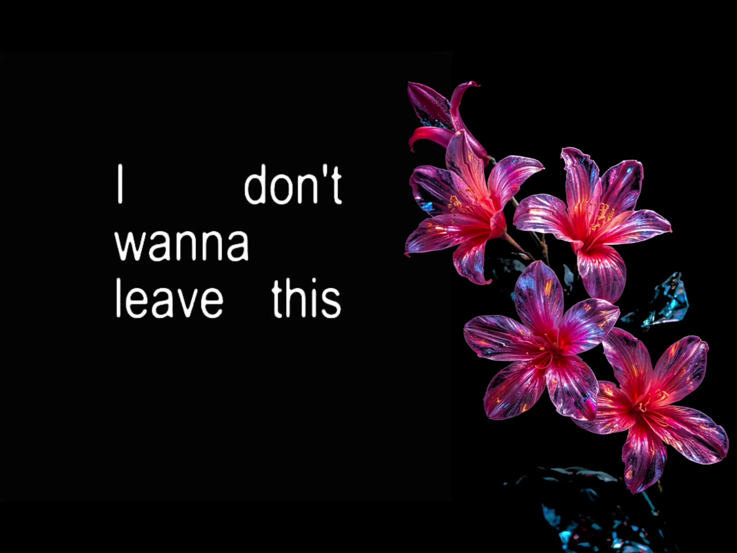 @speed songs | lyrics