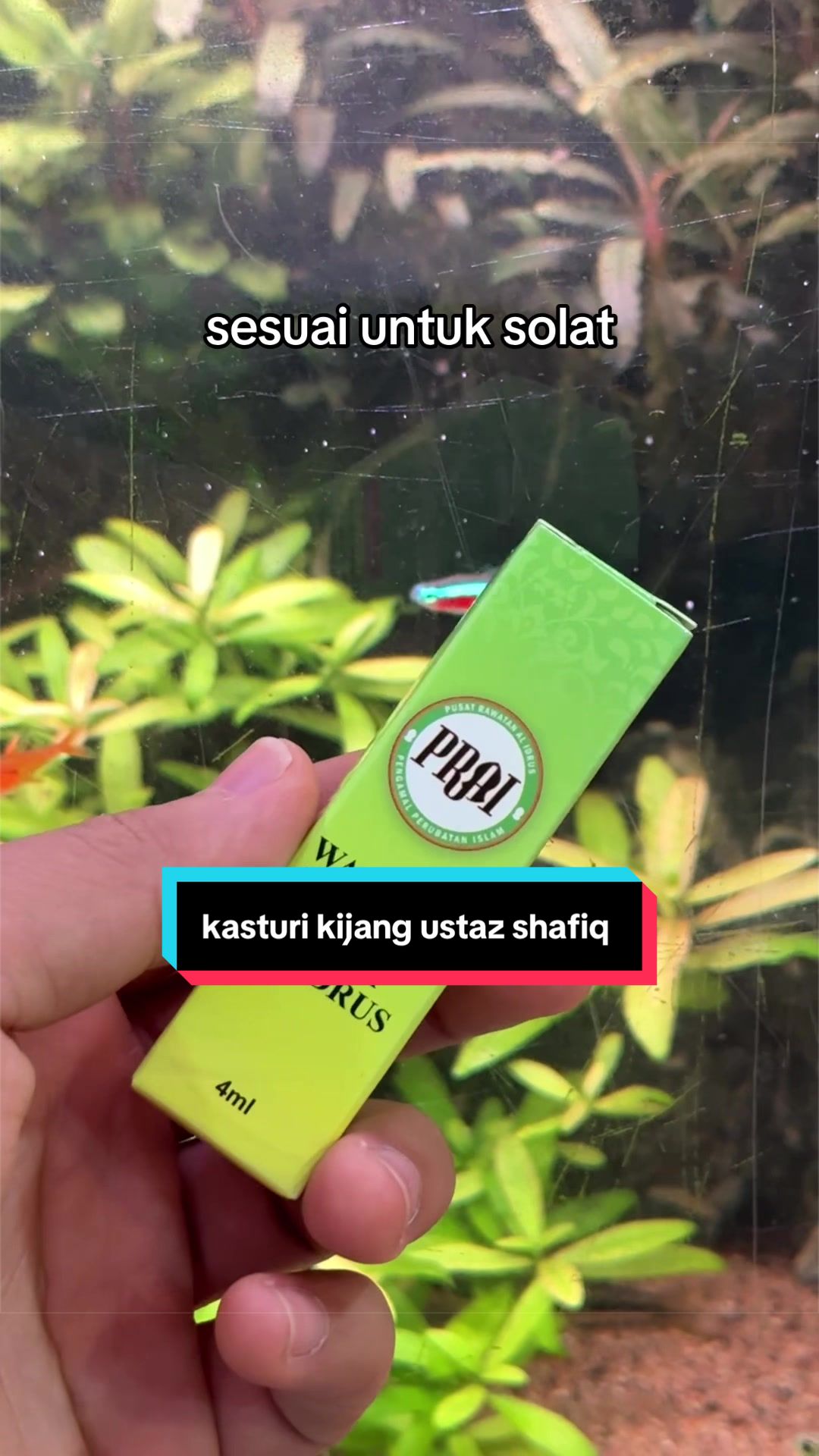 @Wanzo PRAI