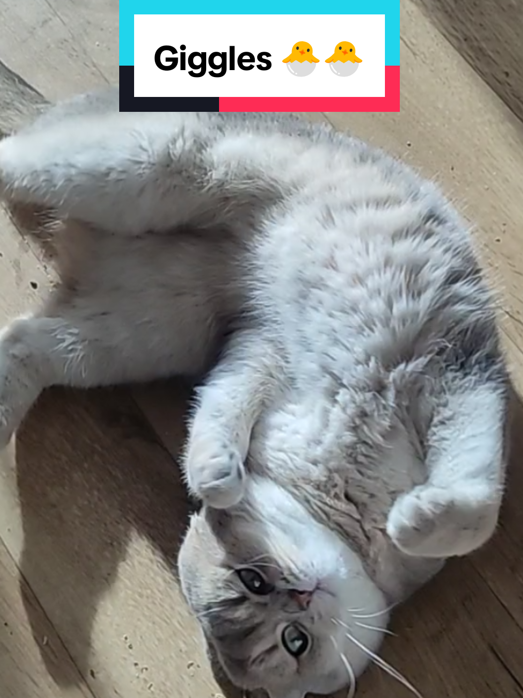@Nala