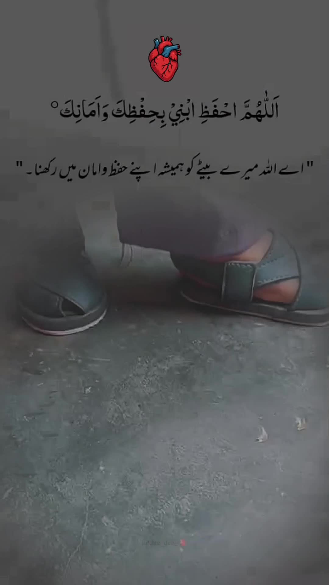 @꧁༺⚜️ شامیر ⚜️༻꧂