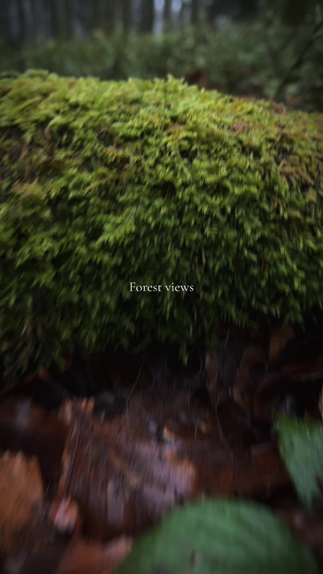@𝖲.𝗁𝖾 𝗍𝗈𝗇𝖾𝗌 ☽