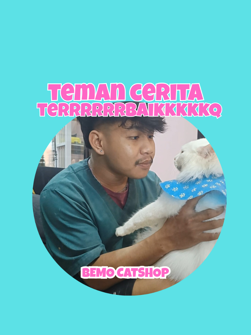 @Bemo Catshop