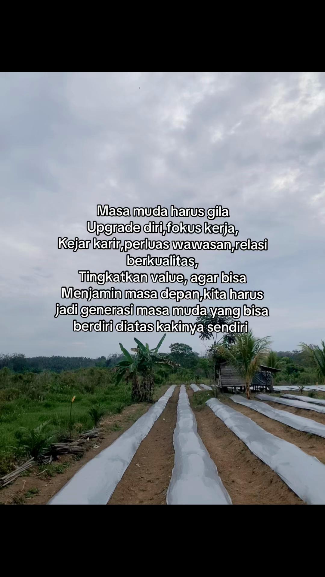 @perintis. muda