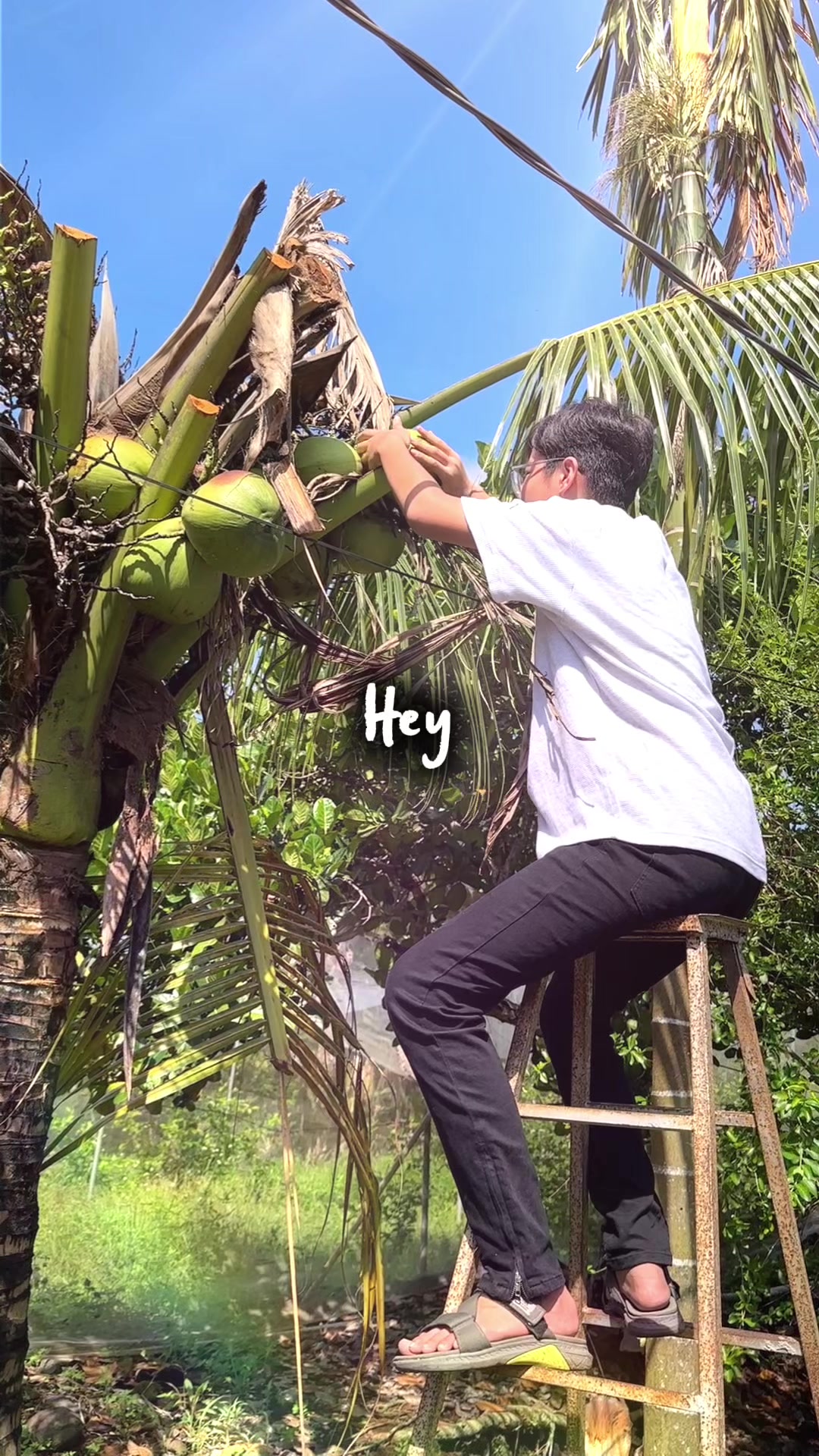 @Vũ Nguyễn Phương Thảo